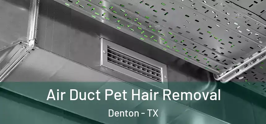 Air Duct Pet Hair Removal Denton - TX