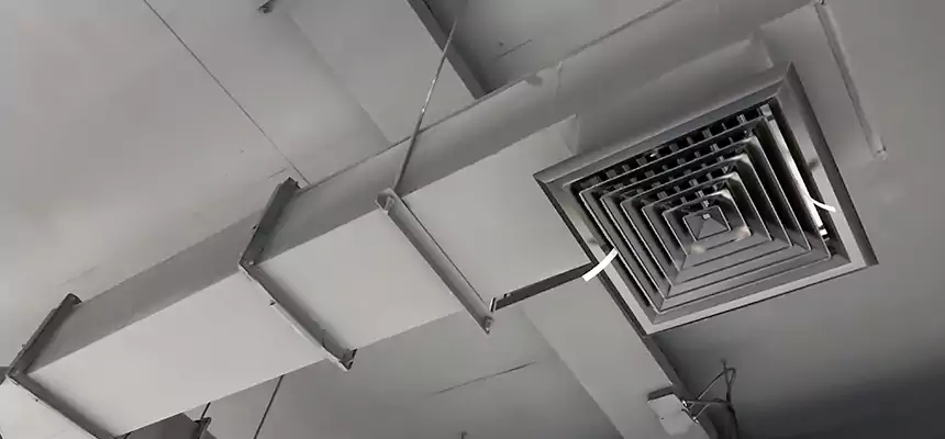 Our Rodent Droppings In Vents Services in Denton, TX